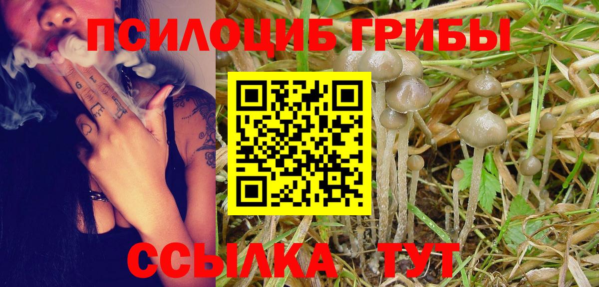Галлюциногенные грибы мицелий  Псилоцибиновые грибы мицелий  Воткинск  Вход с VPN 