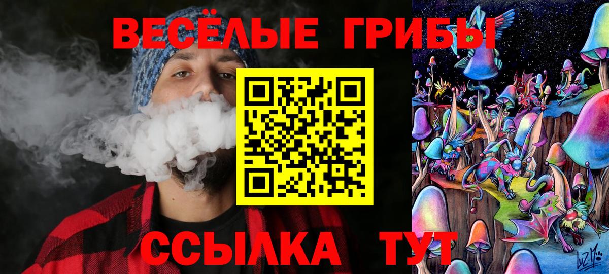 Галлюциногенные грибы Cubensis Воткинск